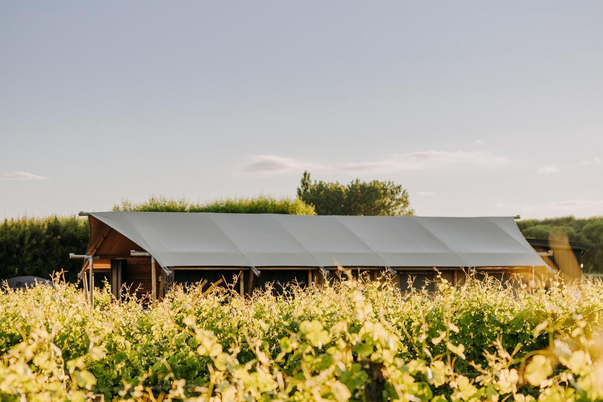 Villas & Vines Glamping Hastings Εξωτερικό φωτογραφία