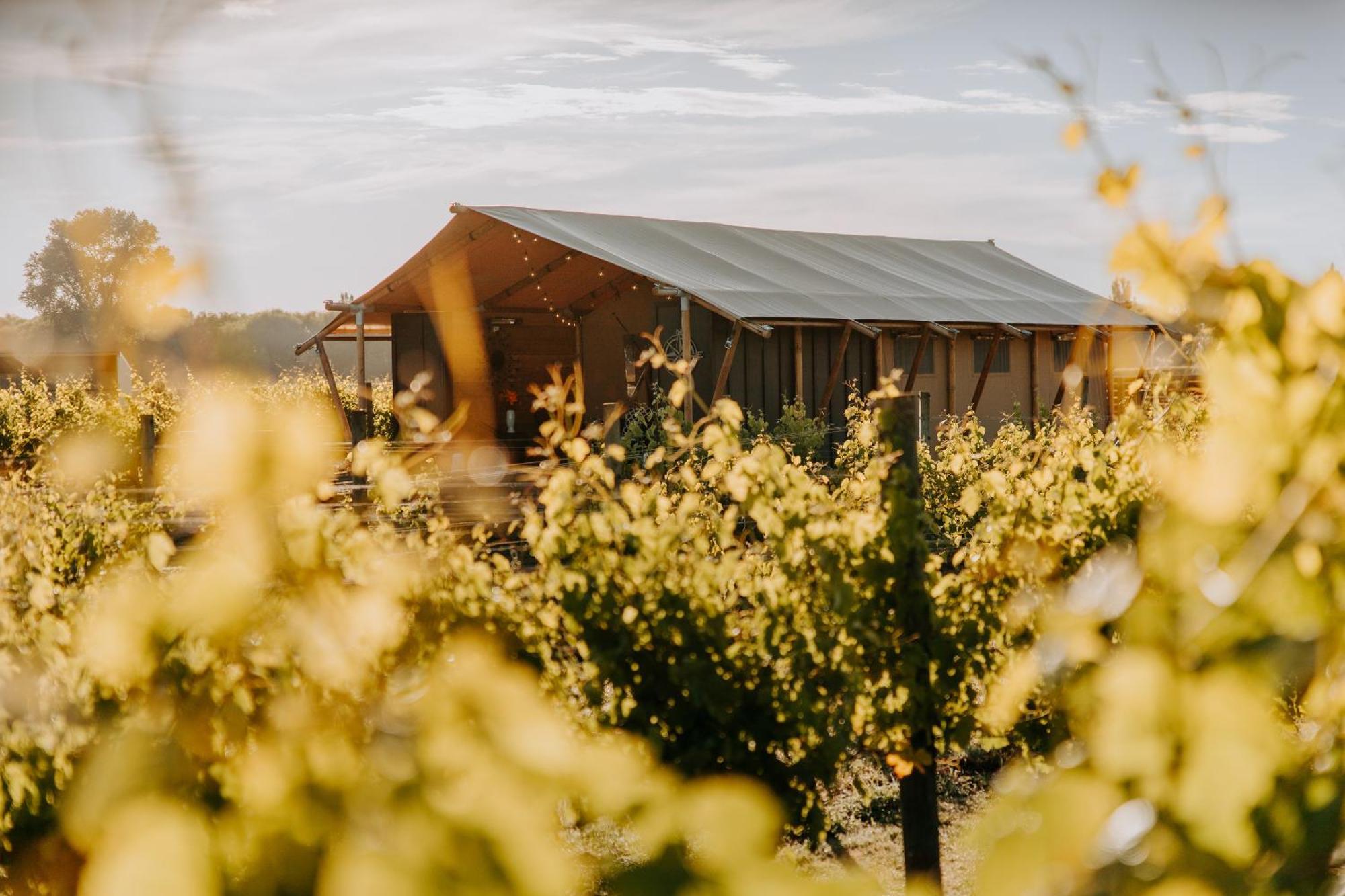 Villas & Vines Glamping Hastings Εξωτερικό φωτογραφία