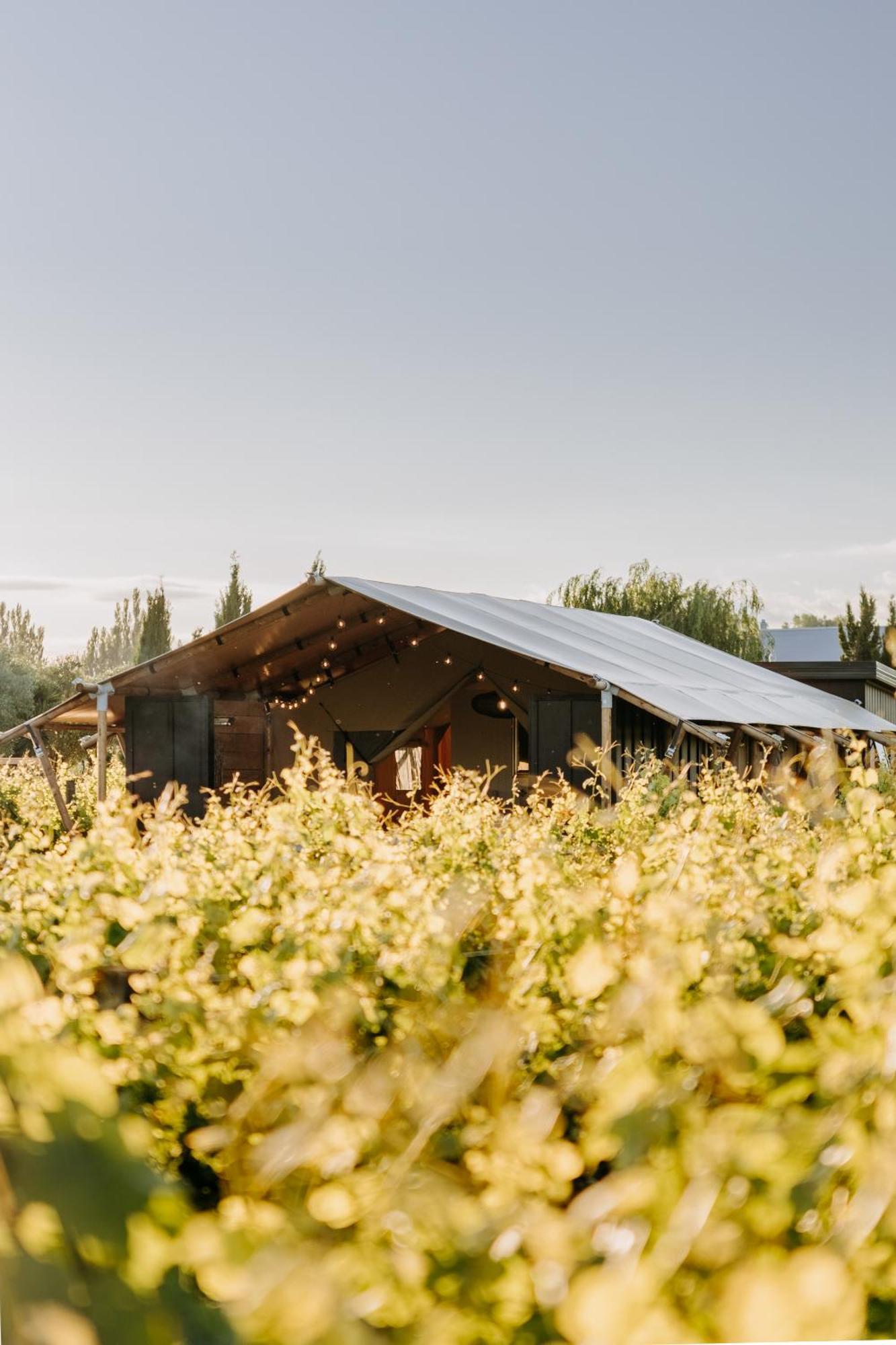 Villas & Vines Glamping Hastings Εξωτερικό φωτογραφία