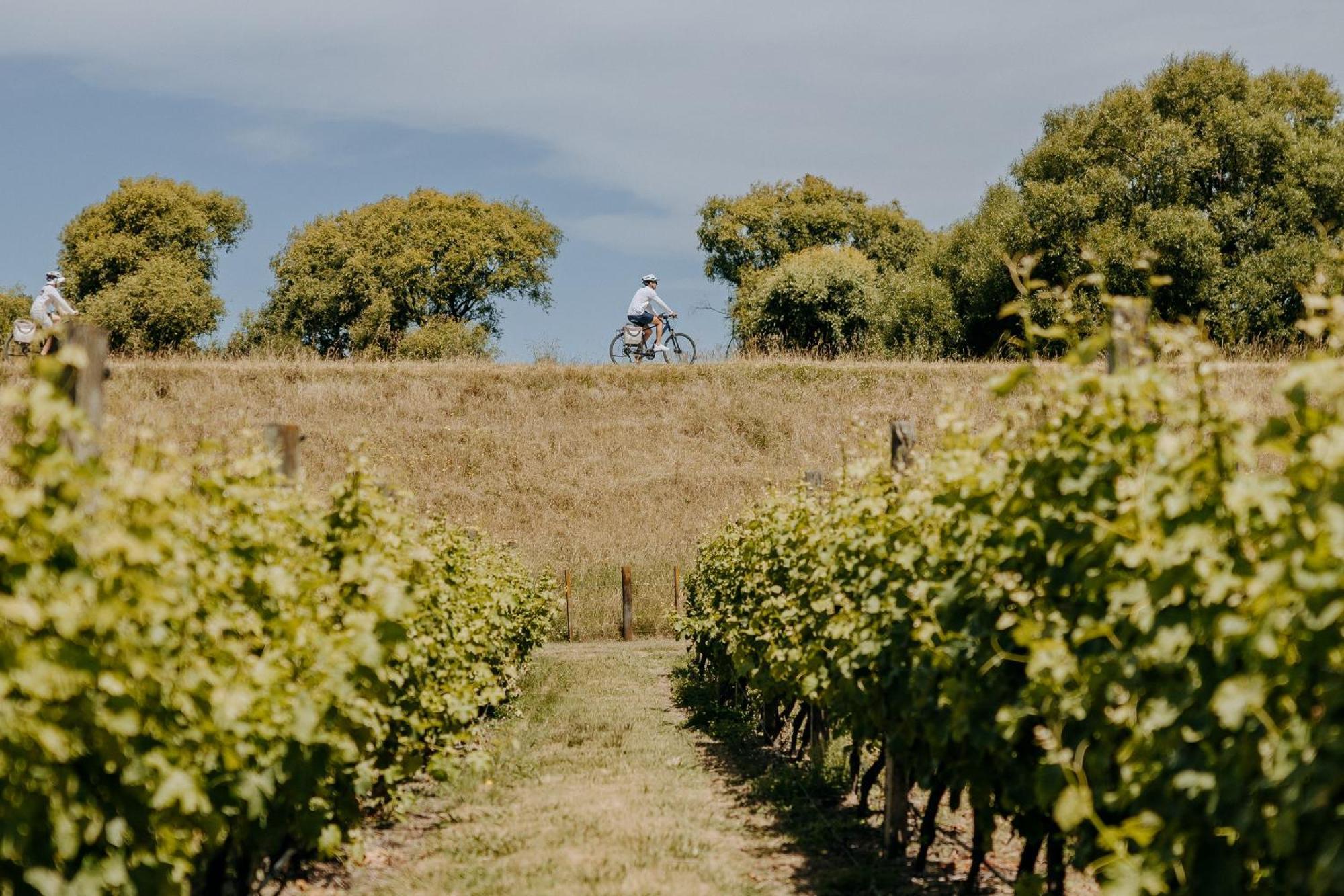Villas & Vines Glamping Hastings Εξωτερικό φωτογραφία